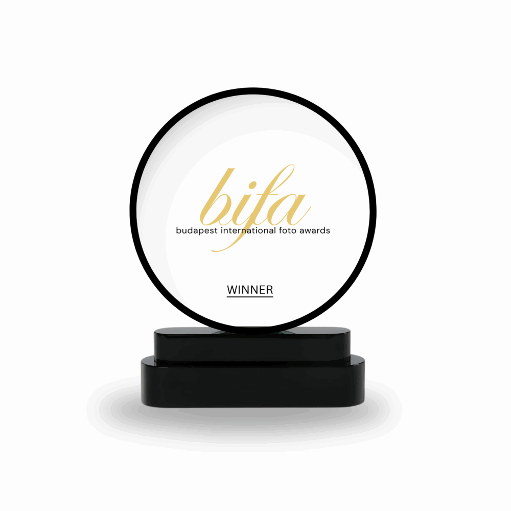 Budapest International Foto Awards Trophy