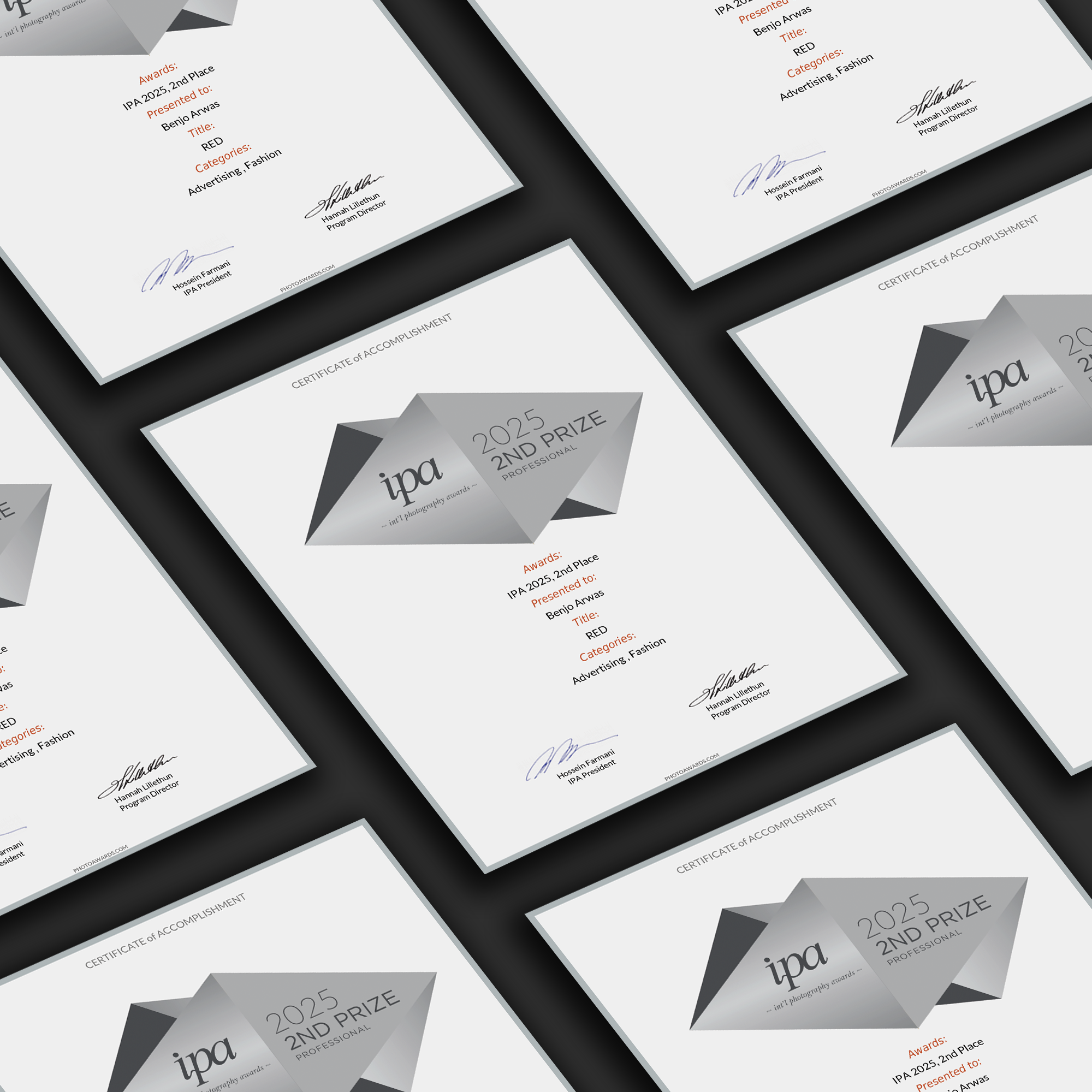 IPA Premium Magnetic Certificate (2nd Prize Winner)